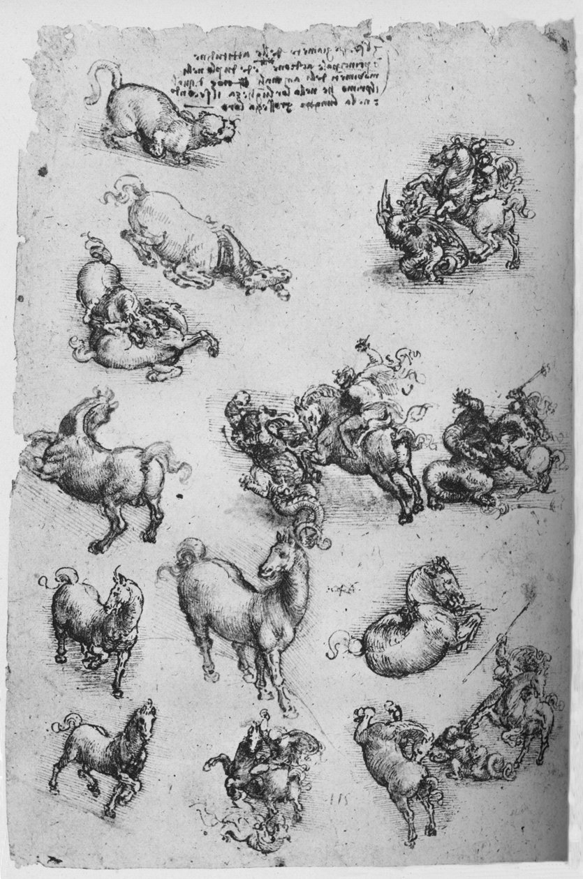 马，猫和圣乔治与龙的研究单，c1480 1945年 作者 达芬奇（Leonardo da Vinci）