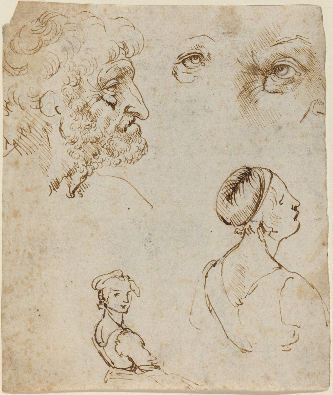 一张研究报告[直页] 作者 达芬奇（Leonardo da Vinci）