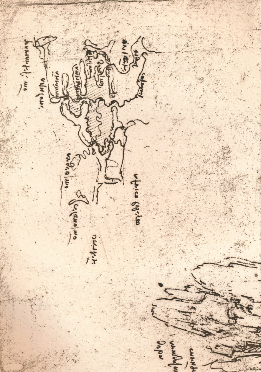 亚美尼亚（c1472-c1519 1883）的草图 作者 达芬奇（Leonardo da Vinci）