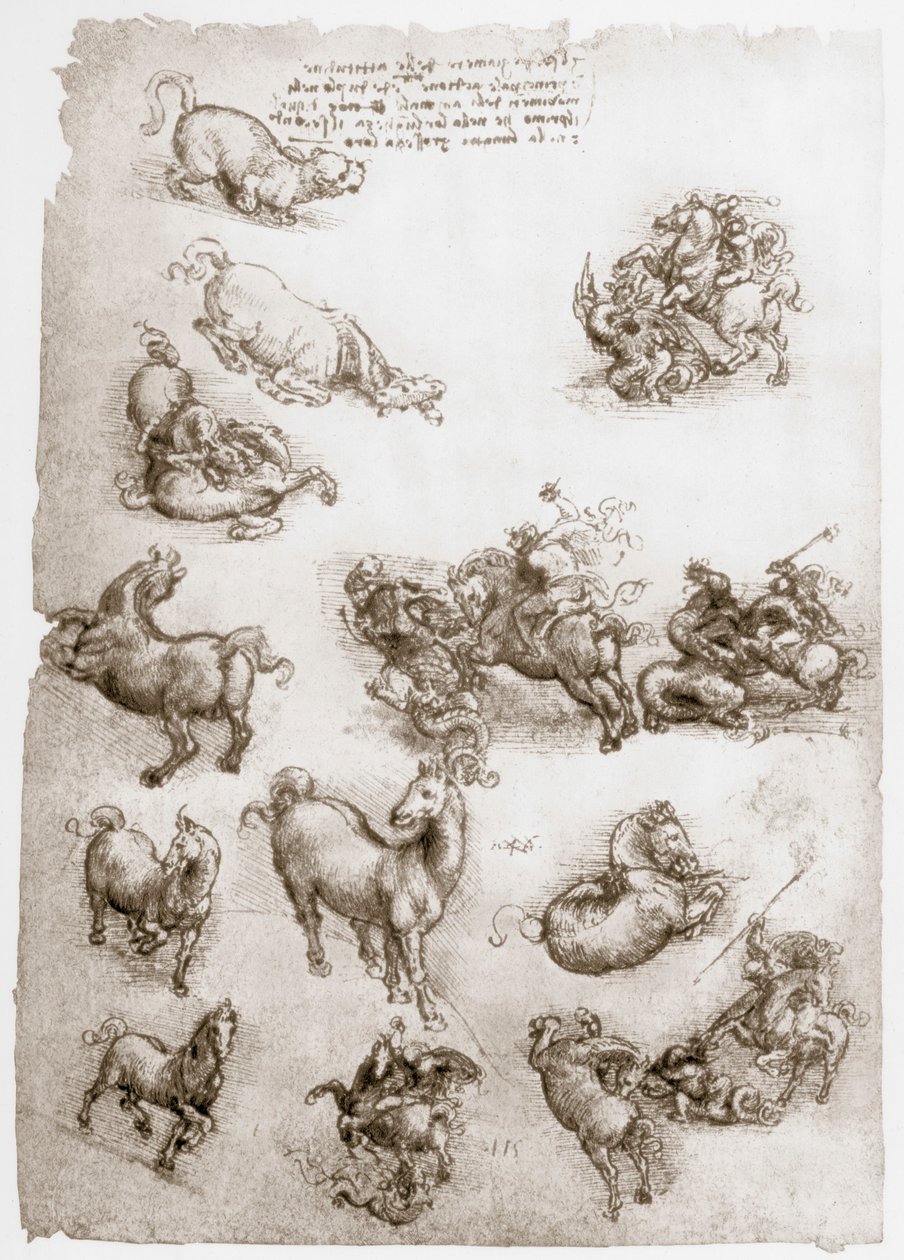 圣乔治与巨龙，c1506 作者 达芬奇（Leonardo da Vinci）