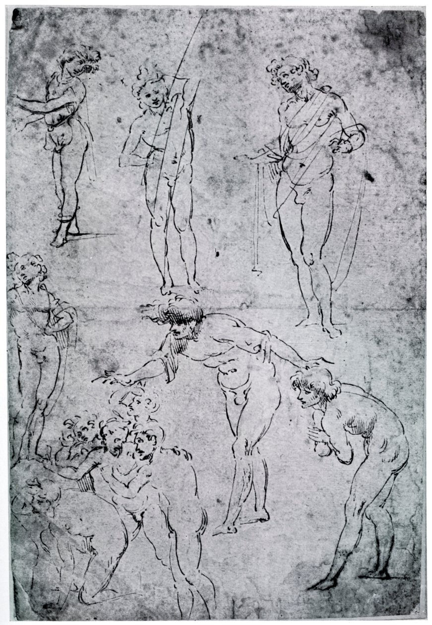 贤士崇拜研究，15世纪，1954年 作者 达芬奇（Leonardo da Vinci）