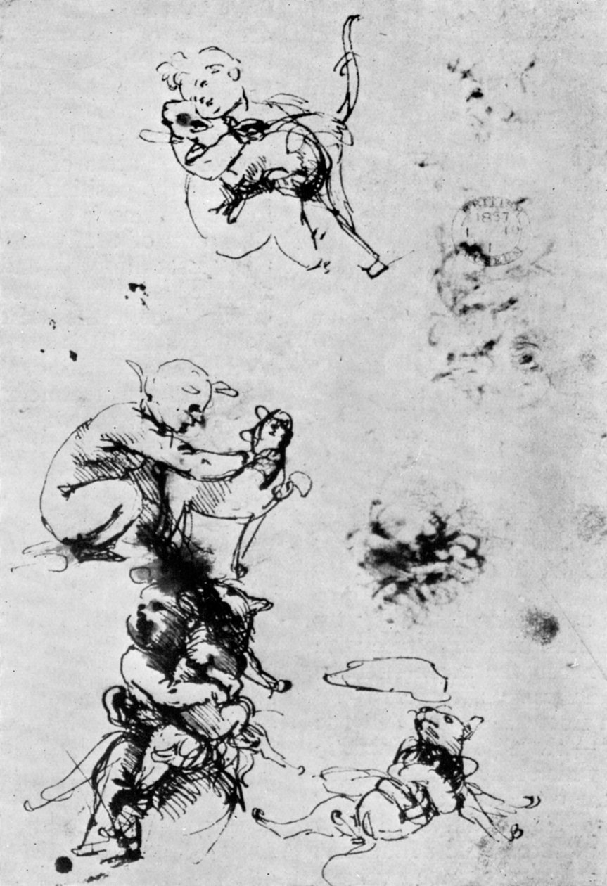 1930年15世纪为麦当娜·德尔·加托的研究。 作者 达芬奇（Leonardo da Vinci）