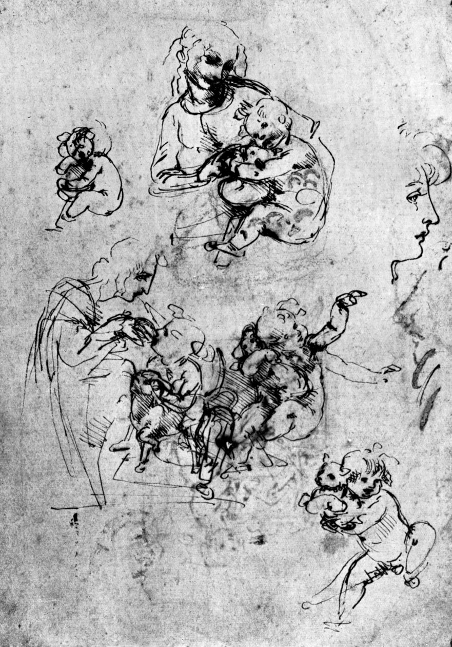 1930年15世纪为麦当娜·德尔·加托的研究。 作者 达芬奇（Leonardo da Vinci）