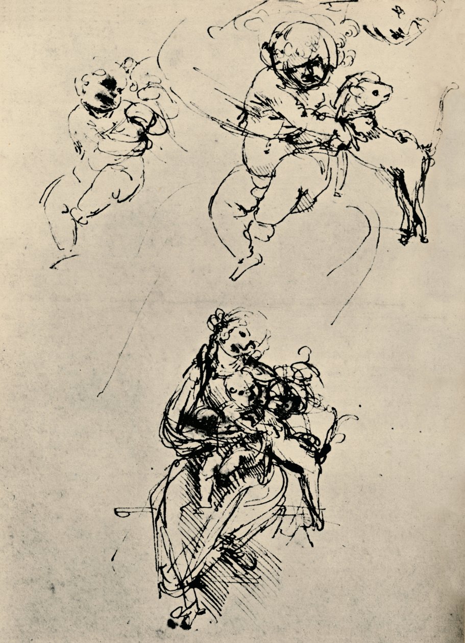 圣母与猫的研究，1478-1480年1945年 作者 达芬奇（Leonardo da Vinci）
