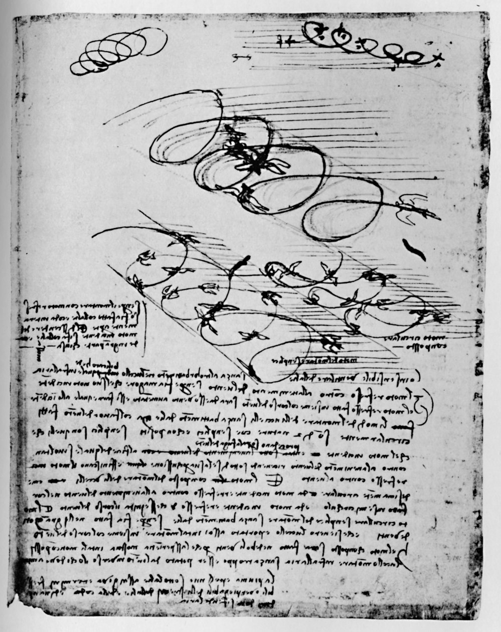 升起和盘旋时飞行中的鸟类研究，1928年 作者 达芬奇（Leonardo da Vinci）