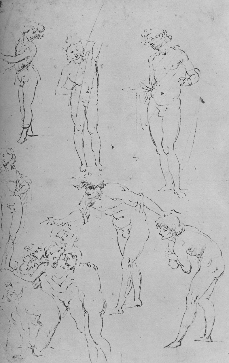 数字研究和一组数字，c1500年1945年 作者 达芬奇（Leonardo da Vinci）