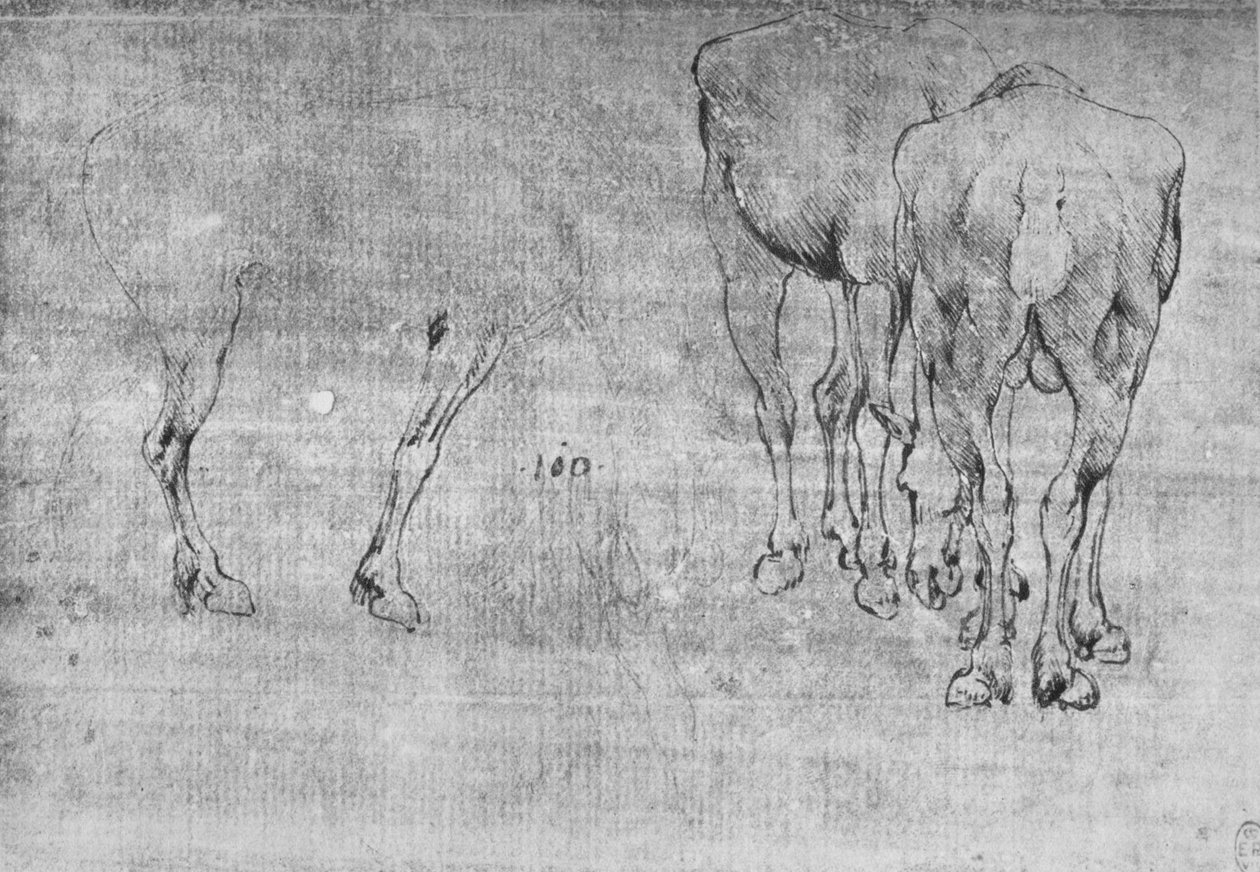 马放牧研究，c1480，1945年 作者 达芬奇（Leonardo da Vinci）