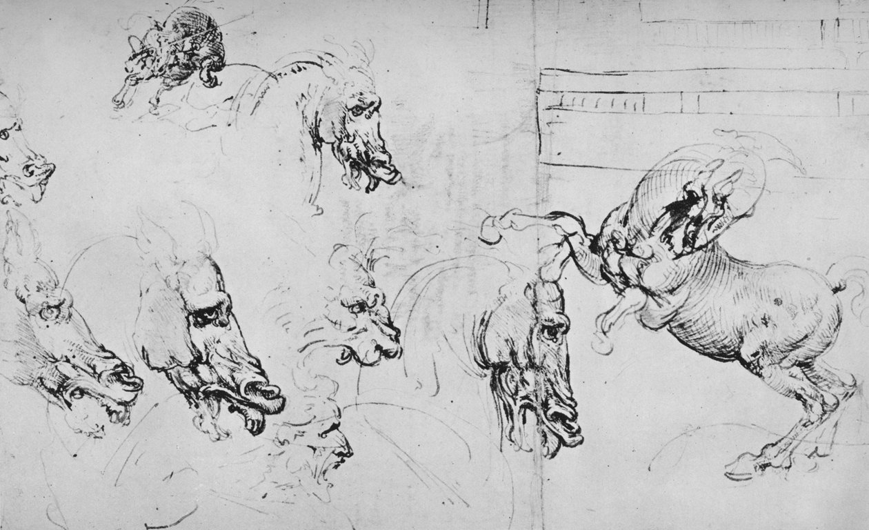 马头和饲养马的研究，c1480 1945年 作者 达芬奇（Leonardo da Vinci）