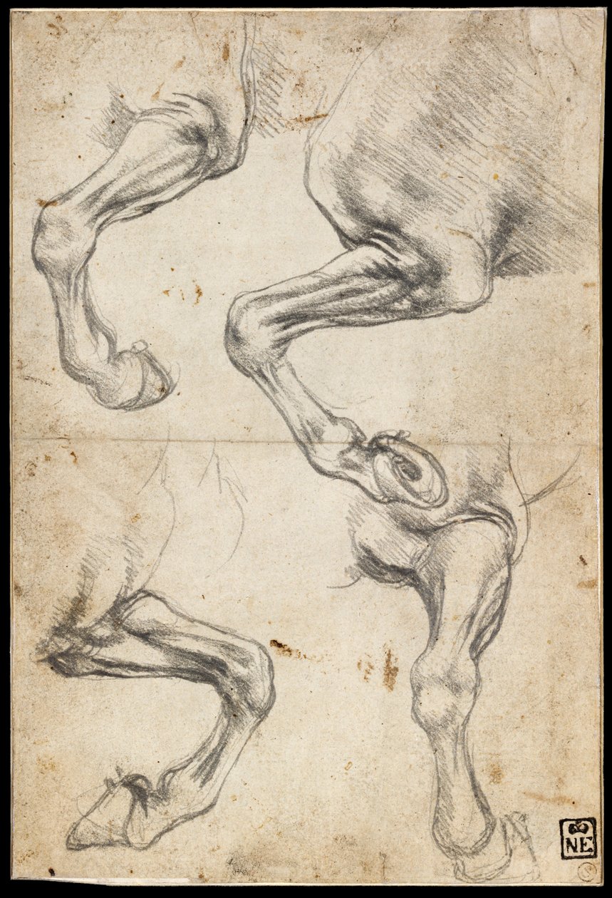 马腿研究 作者 达芬奇（Leonardo da Vinci）