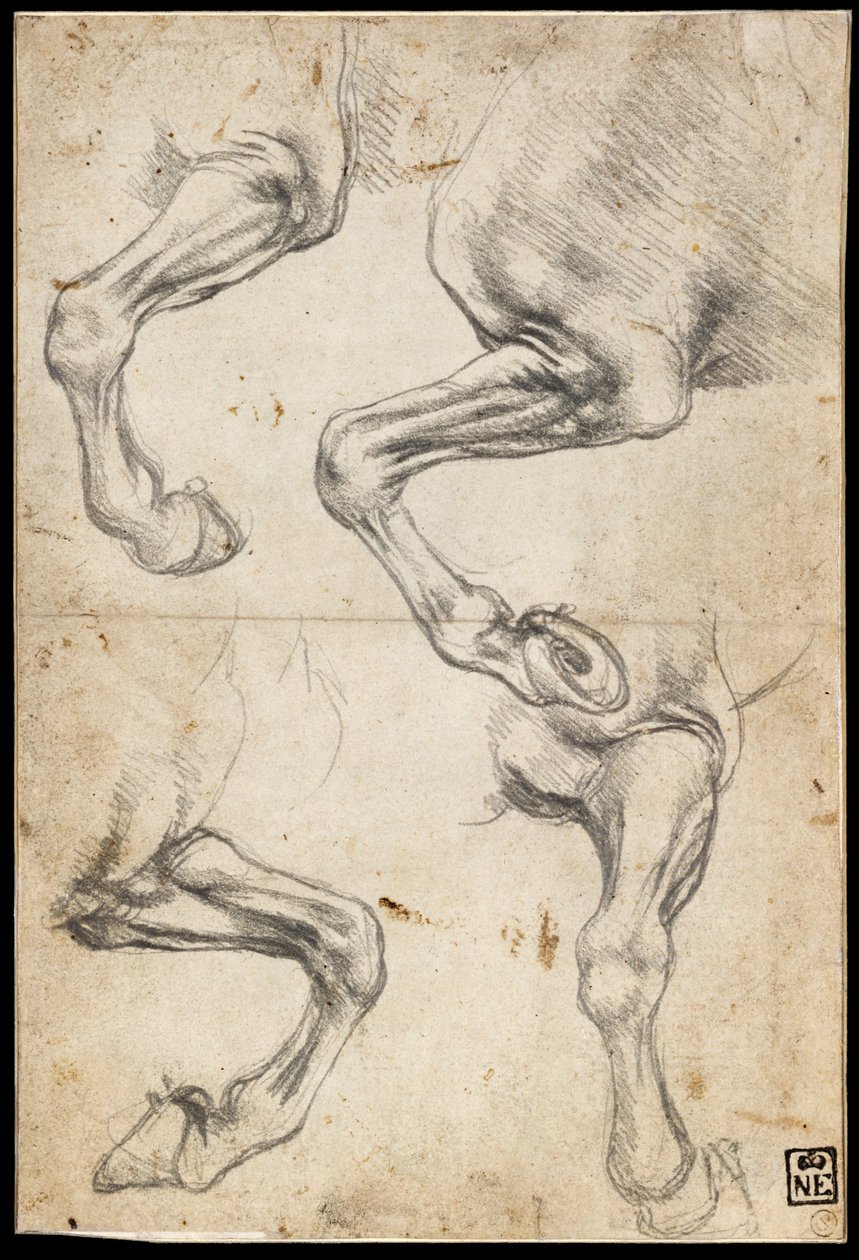 马腿研究 作者 达芬奇（Leonardo da Vinci）