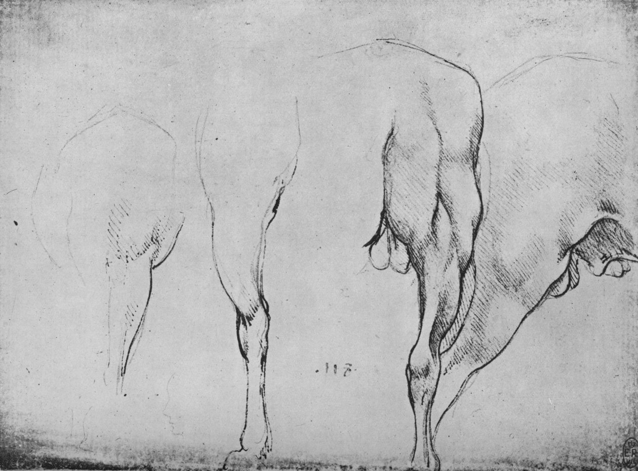 马腿研究，c1480，1945年 作者 达芬奇（Leonardo da Vinci）