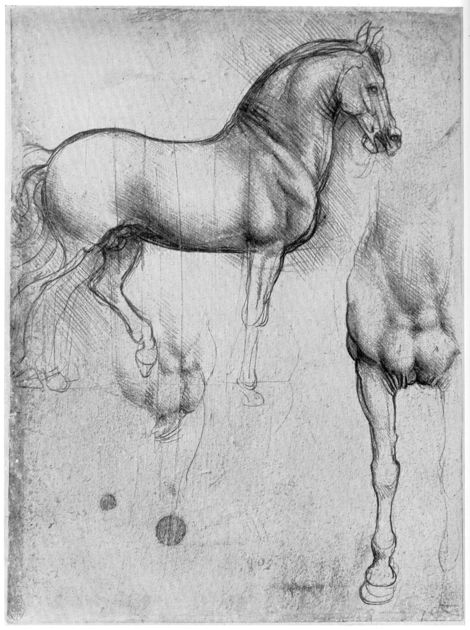 马匹研究，c1490，1954年 作者 达芬奇（Leonardo da Vinci）