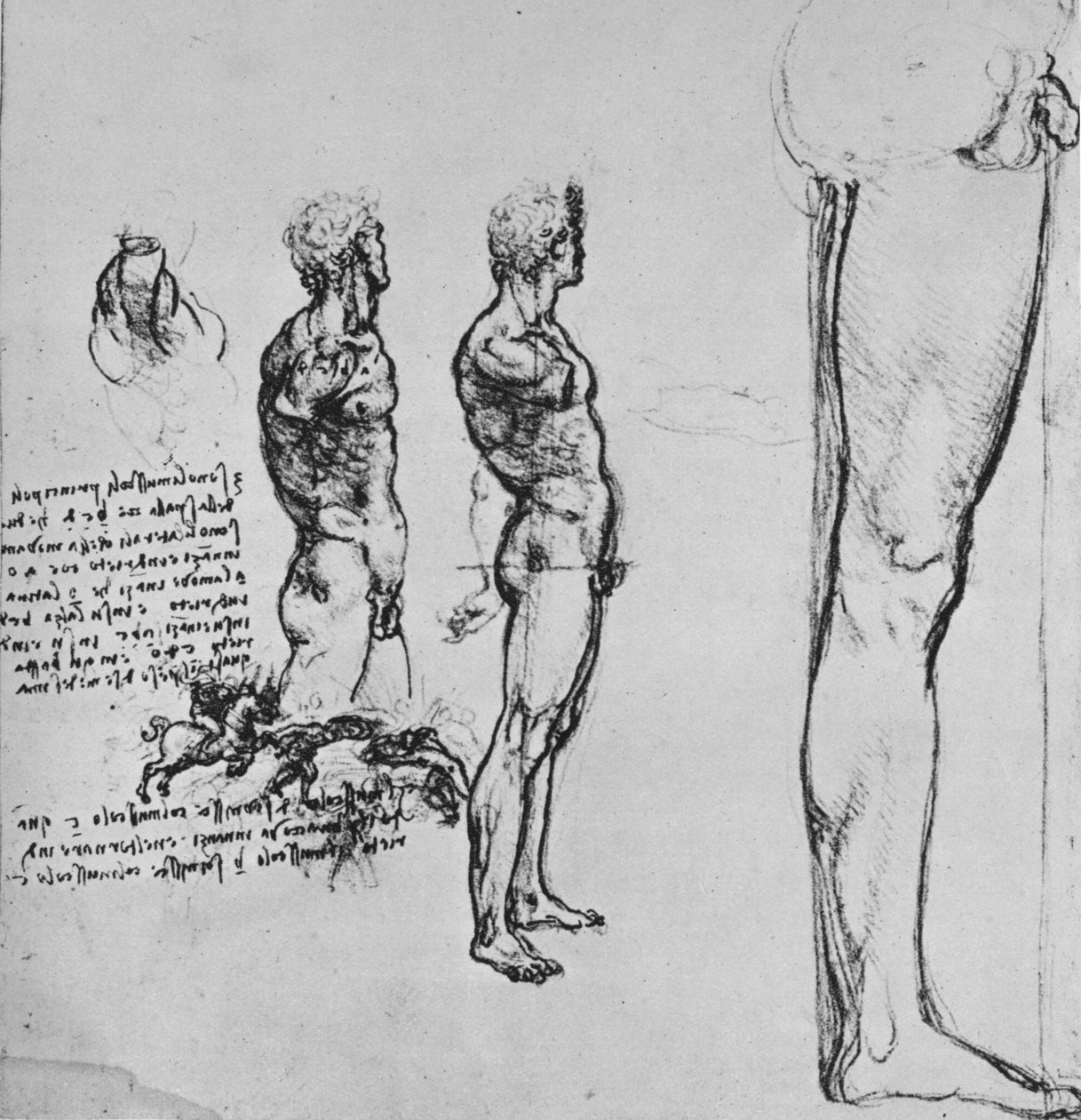 研究裸体和较小的战斗草图，c1480 1945年 作者 达芬奇（Leonardo da Vinci）