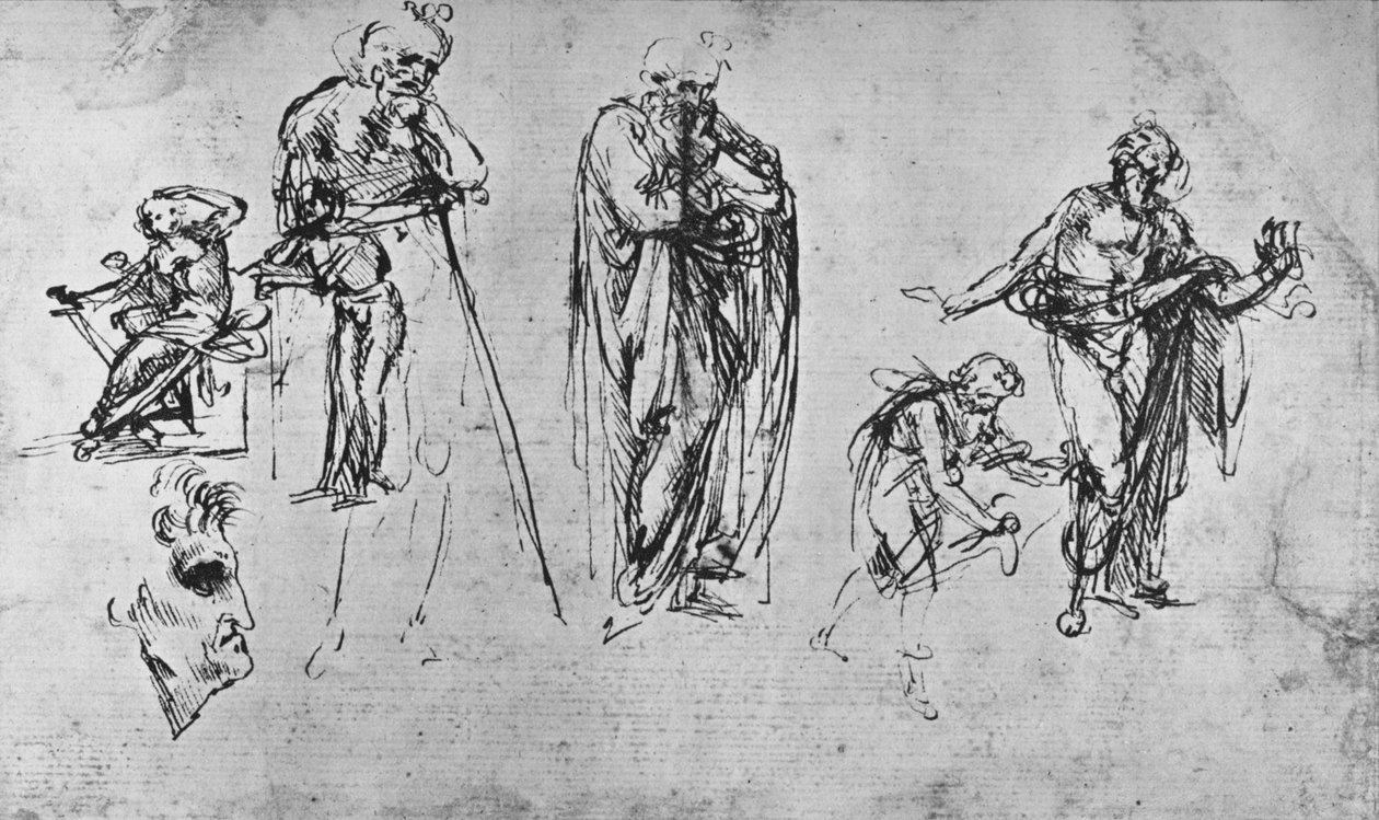 单一图形和轮廓的研究，c1480 1945 作者 达芬奇（Leonardo da Vinci）