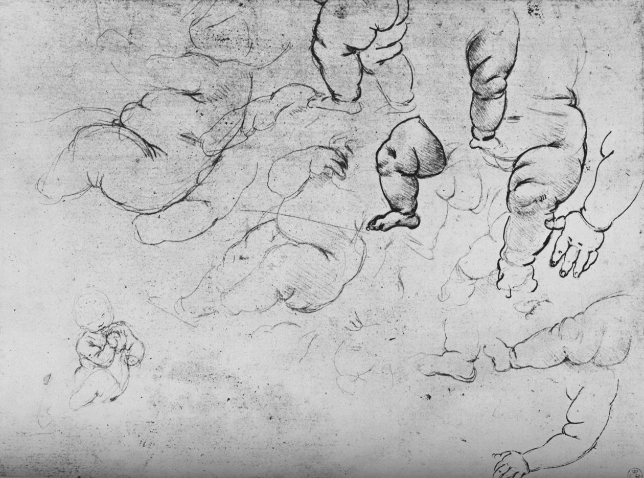 《儿童研究》，c1490，1945年 作者 达芬奇（Leonardo da Vinci）