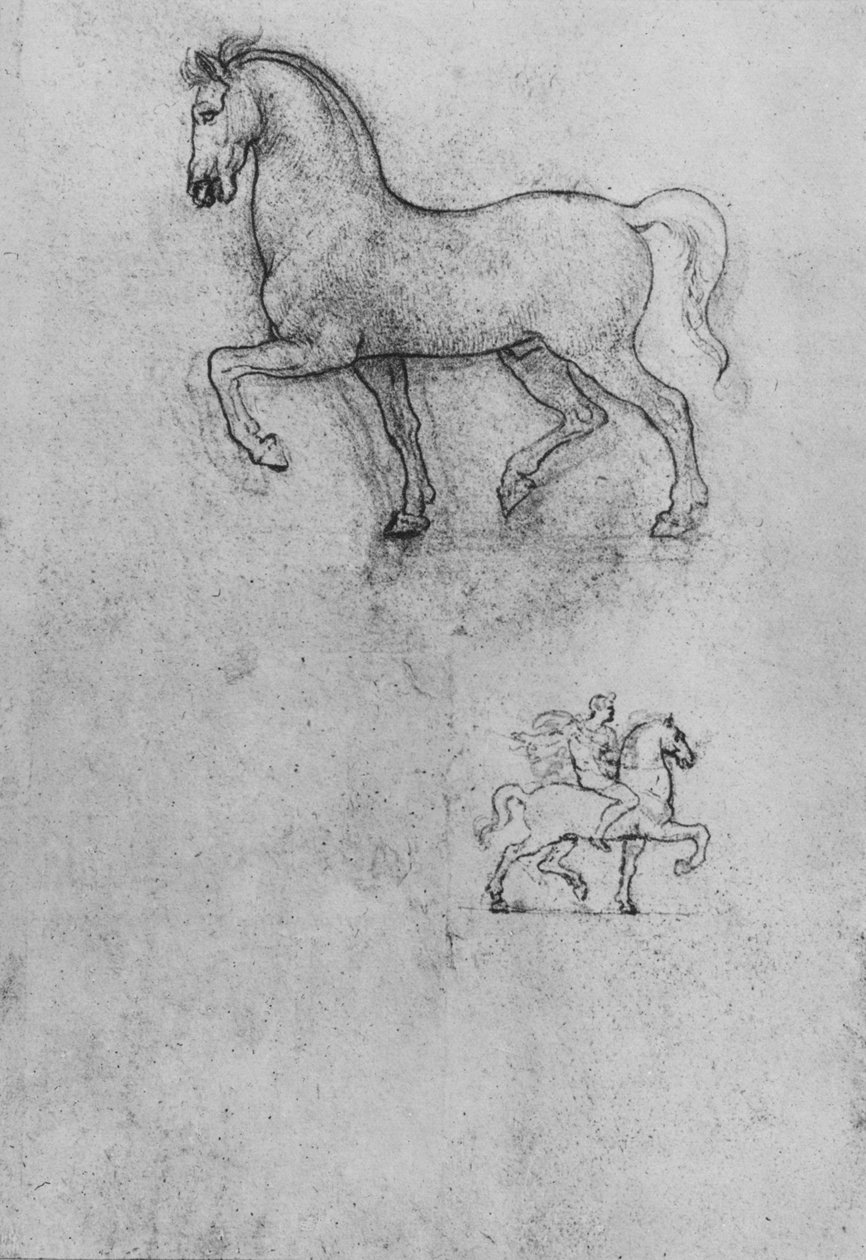 马与骑手之一的研究，c1480 1945年 作者 达芬奇（Leonardo da Vinci）