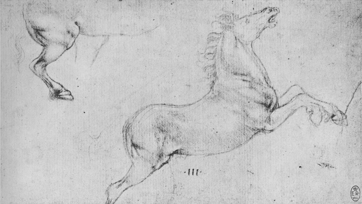 饲养马和马后四分之一的研究，c1480，1945年 作者 达芬奇（Leonardo da Vinci）
