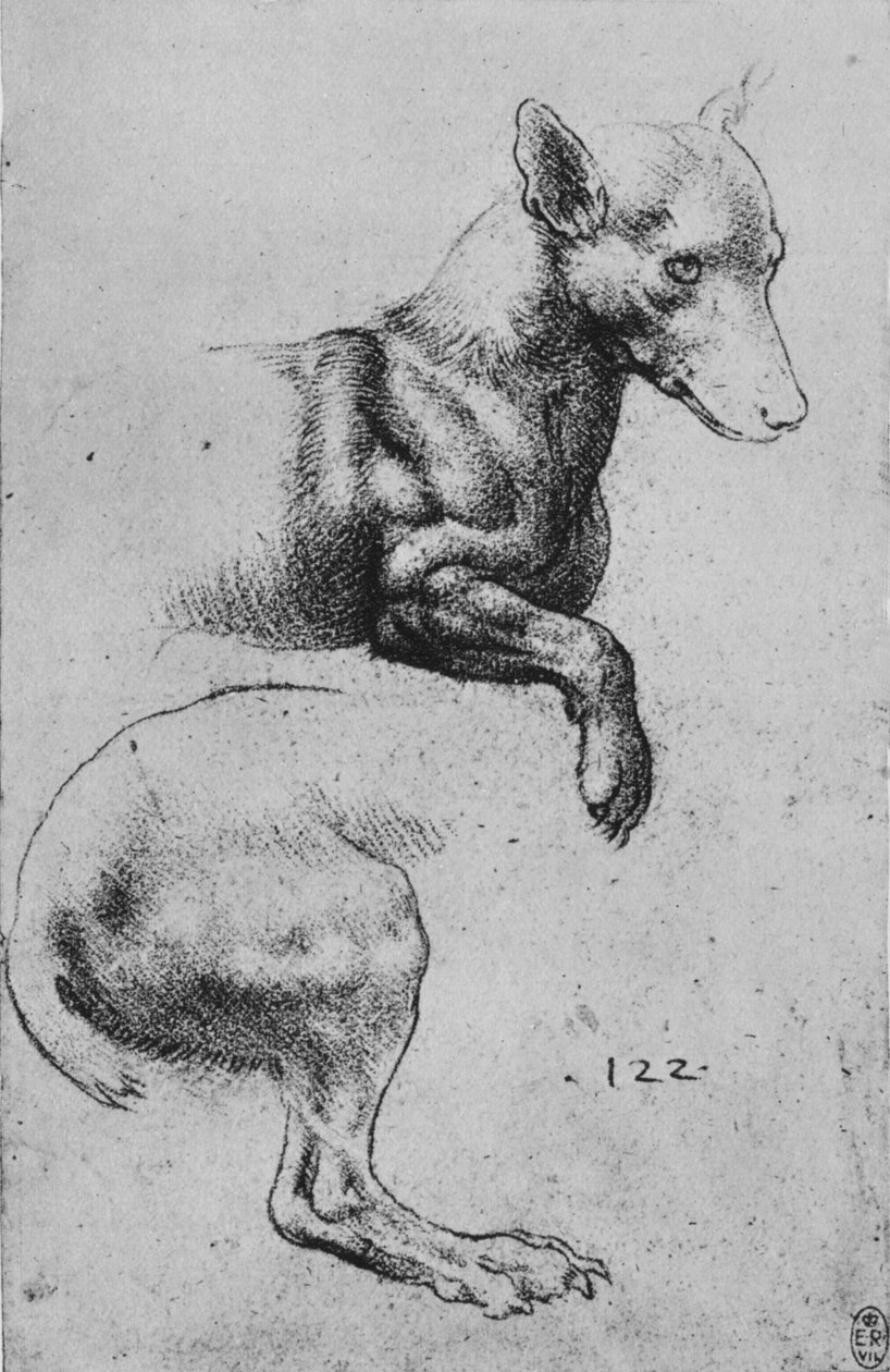 狗的前四分之一和后四分之一的研究，c1480，1945年 作者 达芬奇（Leonardo da Vinci）