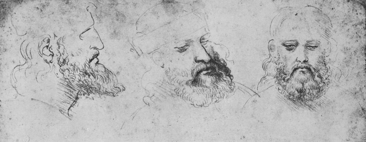 从三个角度对切萨雷·波吉亚头的研究，c1480 1945 作者 达芬奇（Leonardo da Vinci）