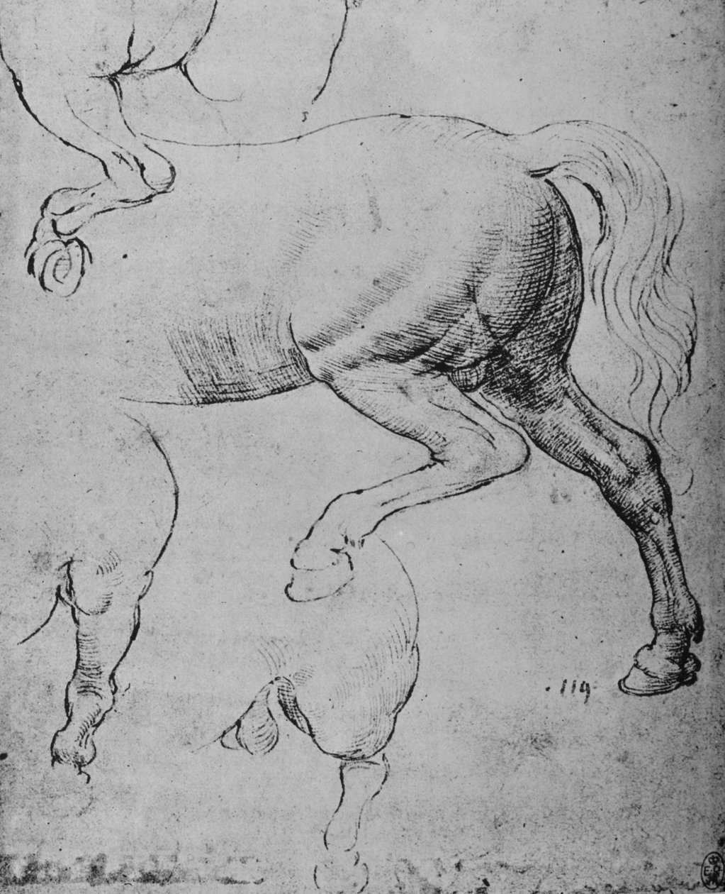 马的后四分之一和后腿的研究，c1480 1945年 作者 达芬奇（Leonardo da Vinci）