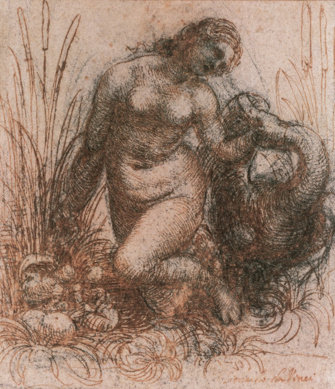 达芬奇（1452-1519）的《莱达和天鹅研究》，图画 作者 达芬奇（Leonardo da Vinci）