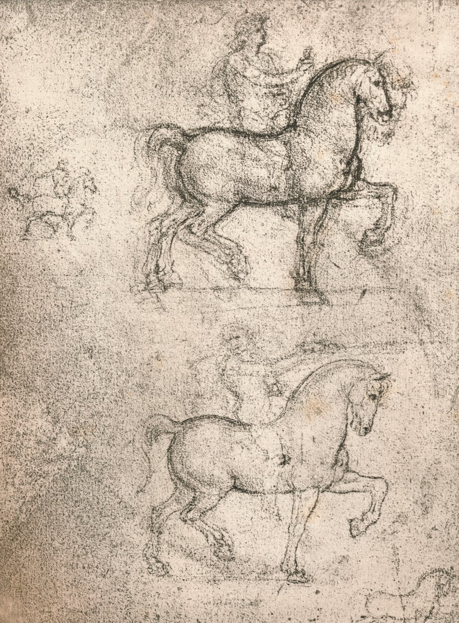 斯福尔扎纪念碑的研究，c1482-c1499 1883 作者 达芬奇（Leonardo da Vinci）