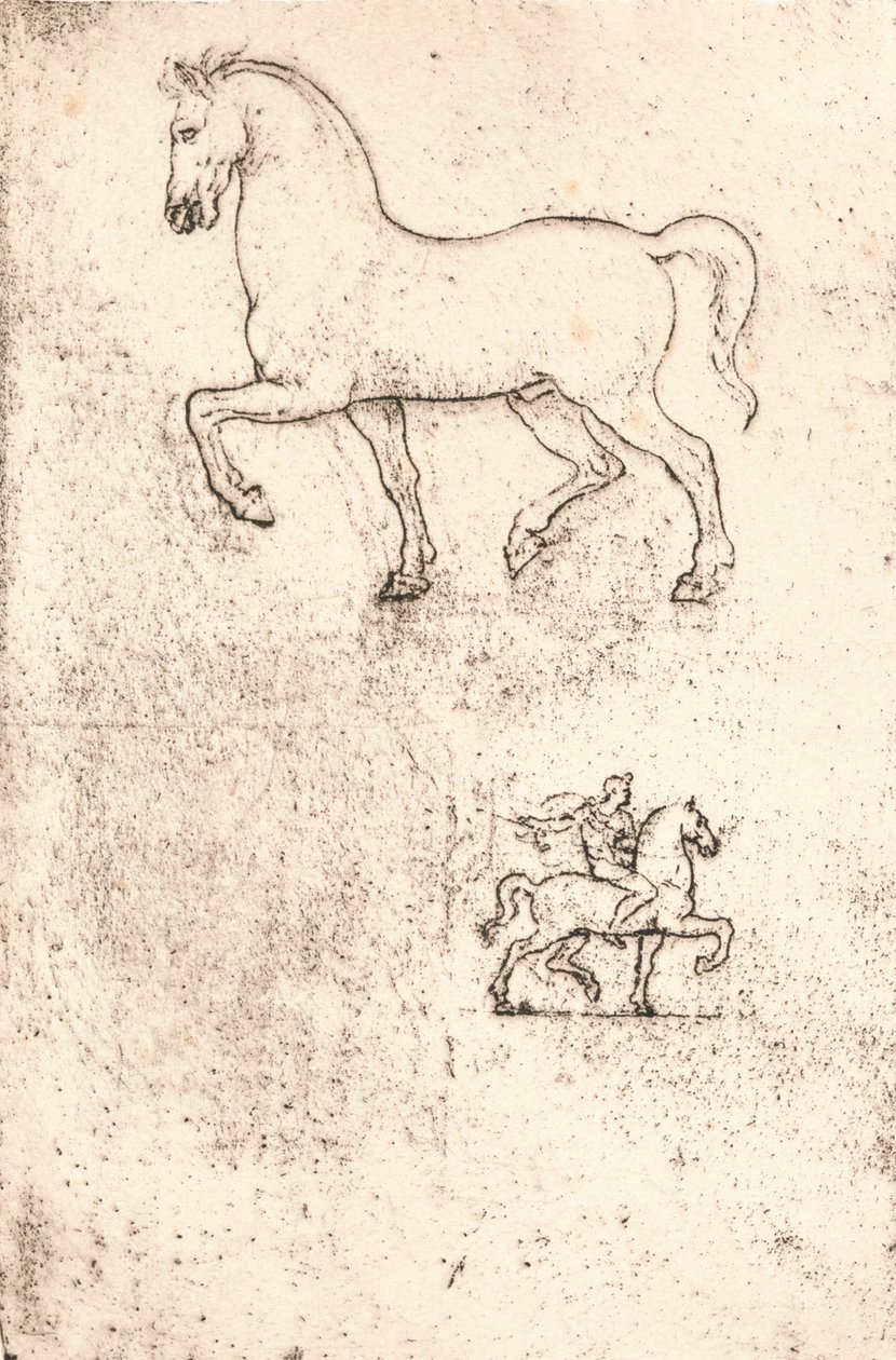 斯福尔扎纪念碑的研究，c1482-c1499 1883 作者 达芬奇（Leonardo da Vinci）