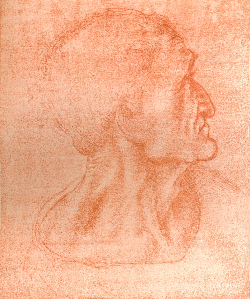 在《最后的晚餐》（c1494-c1499 1883）中研究犹大人的头。 作者 达芬奇（Leonardo da Vinci）