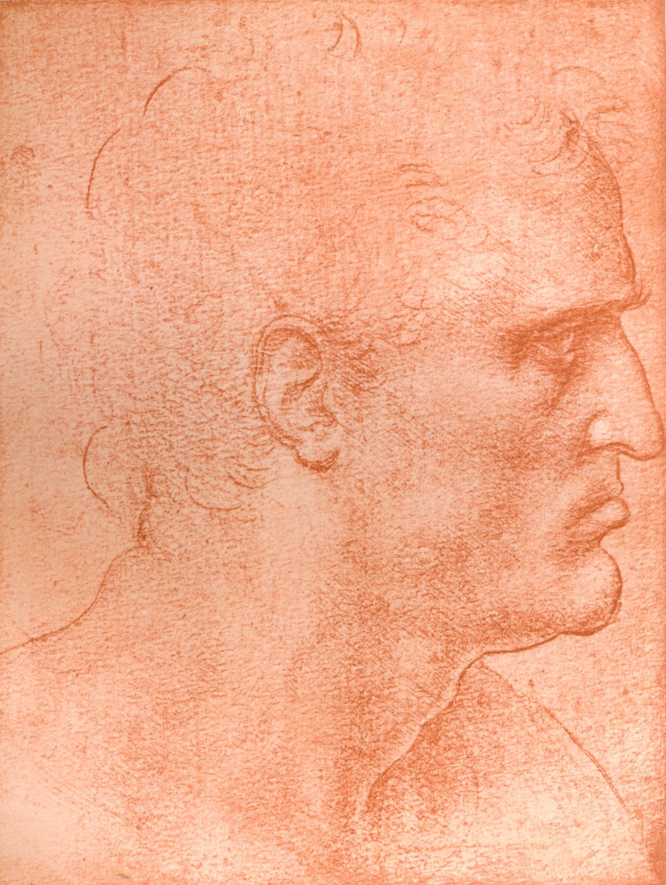 在`The Last Supper`，c1494-c1499 1883中研究圣马修的头像。 作者 达芬奇（Leonardo da Vinci）