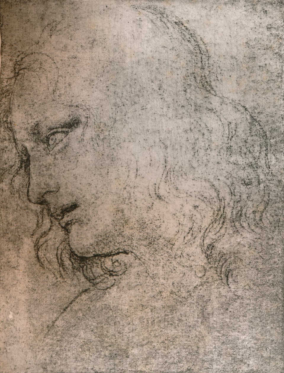 在`The Last Supper`，c1494-c1499 1883中研究圣菲利普的头。 作者 达芬奇（Leonardo da Vinci）