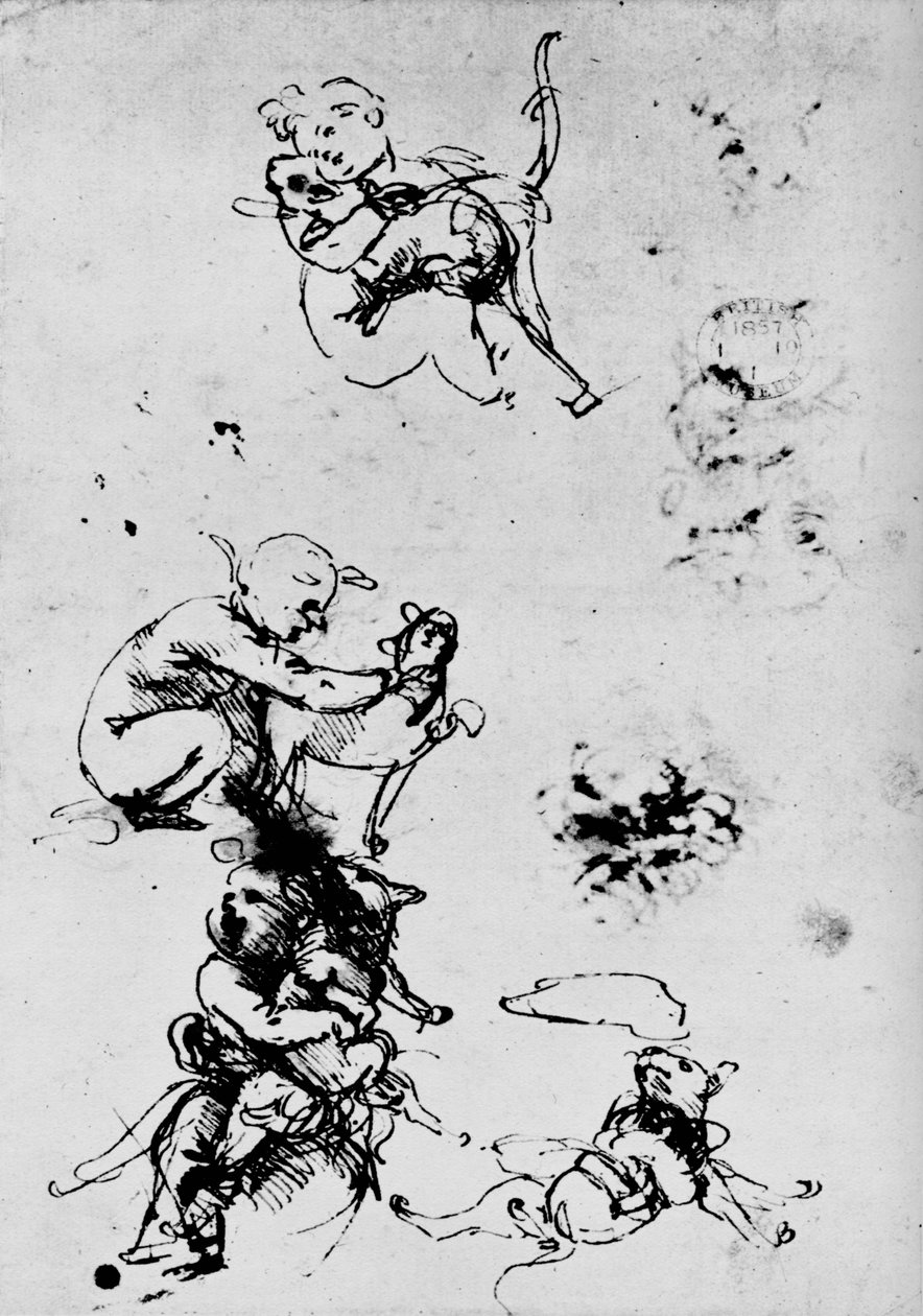 1478-1481年对一个有猫的孩子的研究1945 作者 达芬奇（Leonardo da Vinci）