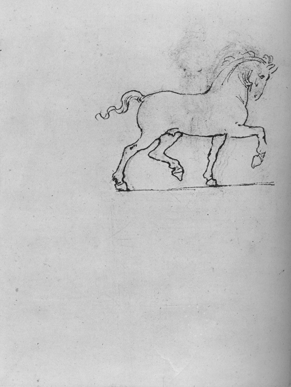 马的研究，c1480，1945年 作者 达芬奇（Leonardo da Vinci）