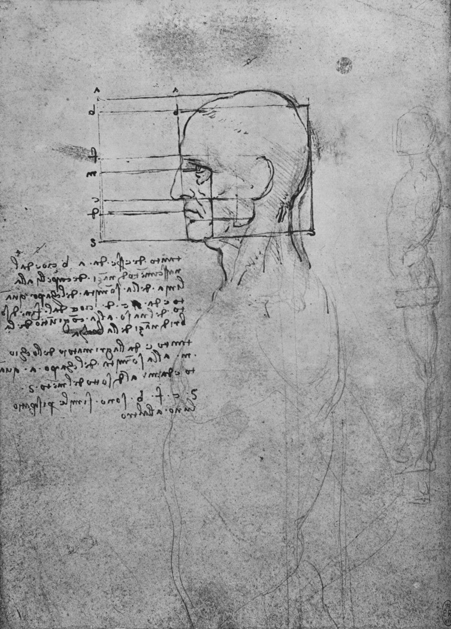 勒芒裸体躯干的研究，头部成比例，c1480 1945 作者 达芬奇（Leonardo da Vinci）