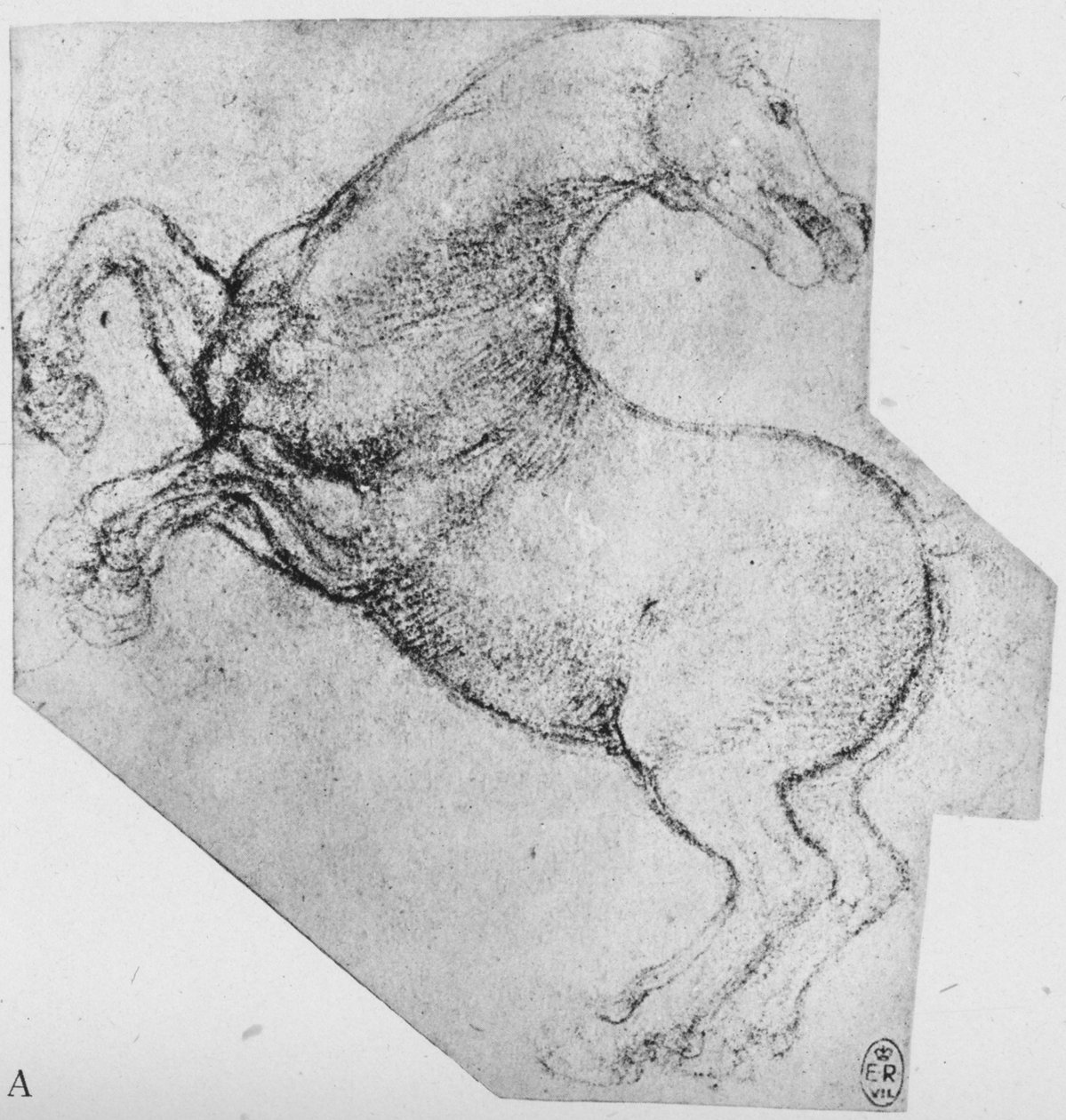 研究饲养马，c1480，1945年 作者 达芬奇（Leonardo da Vinci）