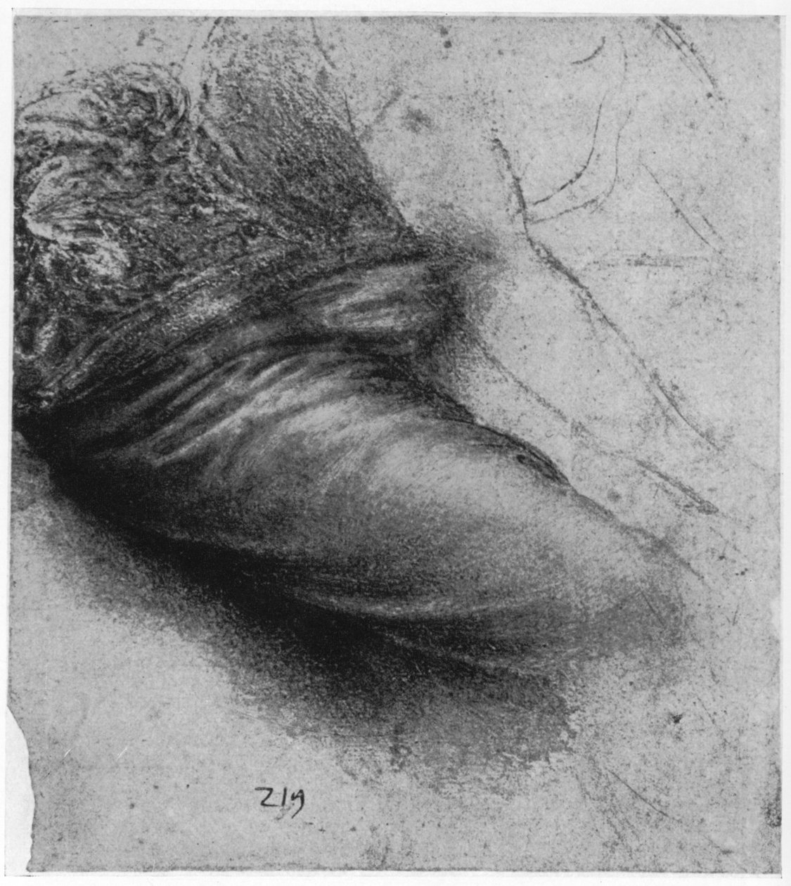 对圣安妮服装的研究，1503-1517 1954 作者 达芬奇（Leonardo da Vinci）