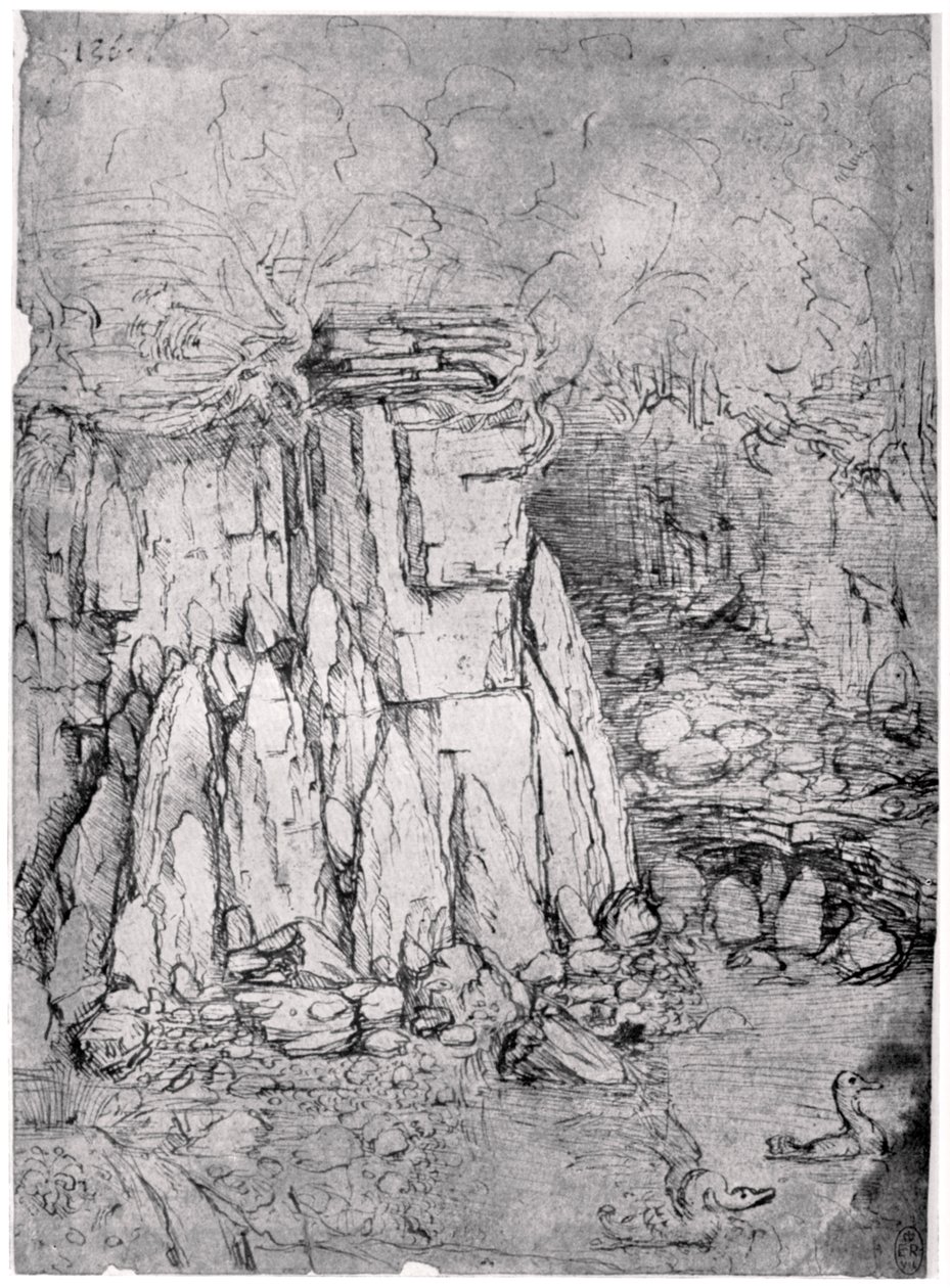 研究带鸭子的岩石洞穴，1482-1485年，1954年 作者 达芬奇（Leonardo da Vinci）
