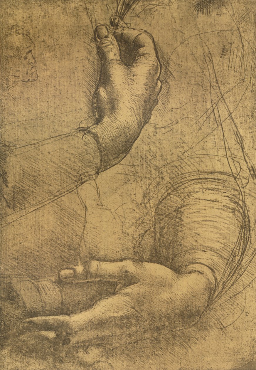女手研究，c1472-c1519 1883 作者 达芬奇（Leonardo da Vinci）