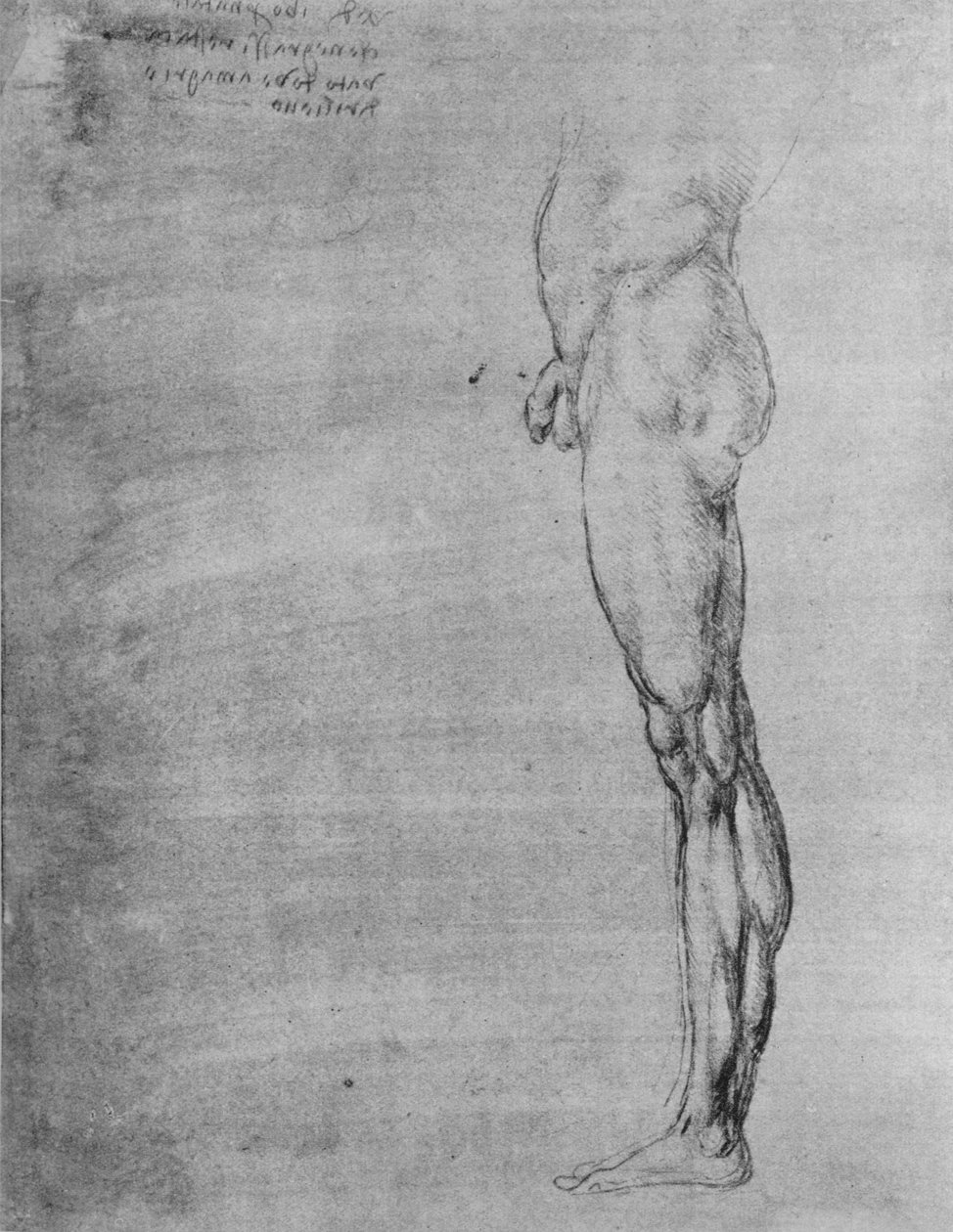 研究一个人的肢体和腿，c1480，1945年 作者 达芬奇（Leonardo da Vinci）
