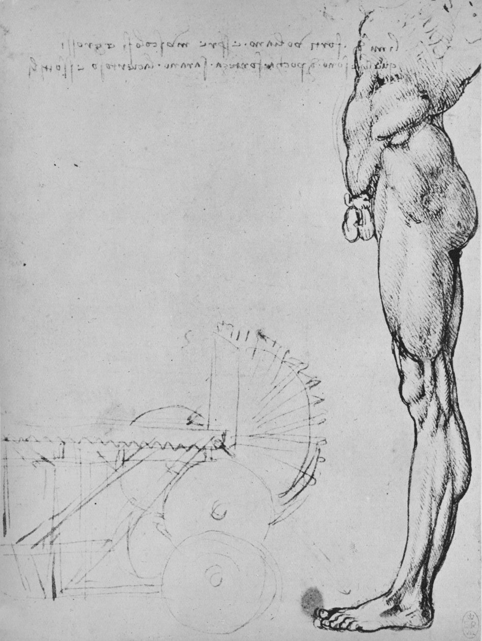 对人和机械的下半部分的研究，c1480 1945年 作者 达芬奇（Leonardo da Vinci）