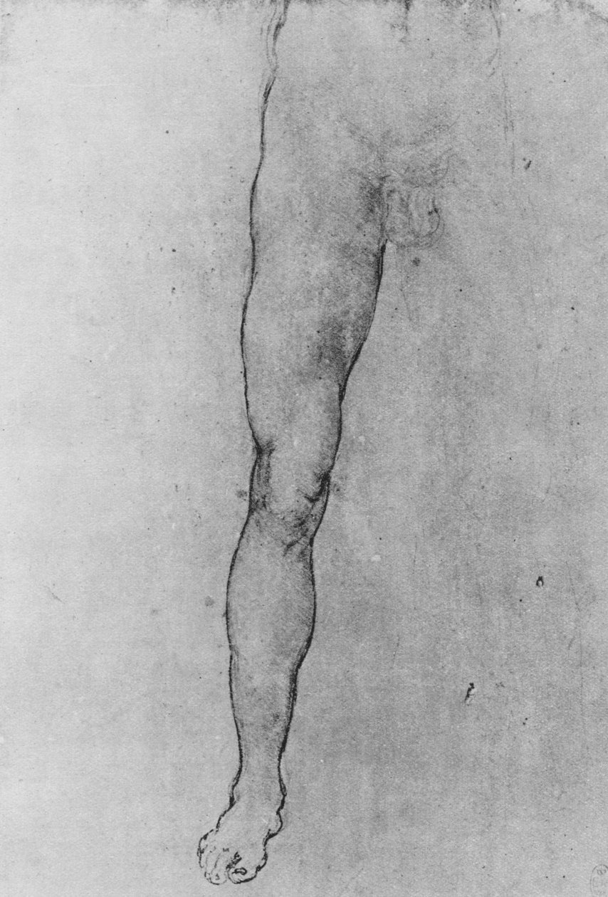 研究一个裸体男人的下半部分，正面朝前，c1480 1945年 作者 达芬奇（Leonardo da Vinci）