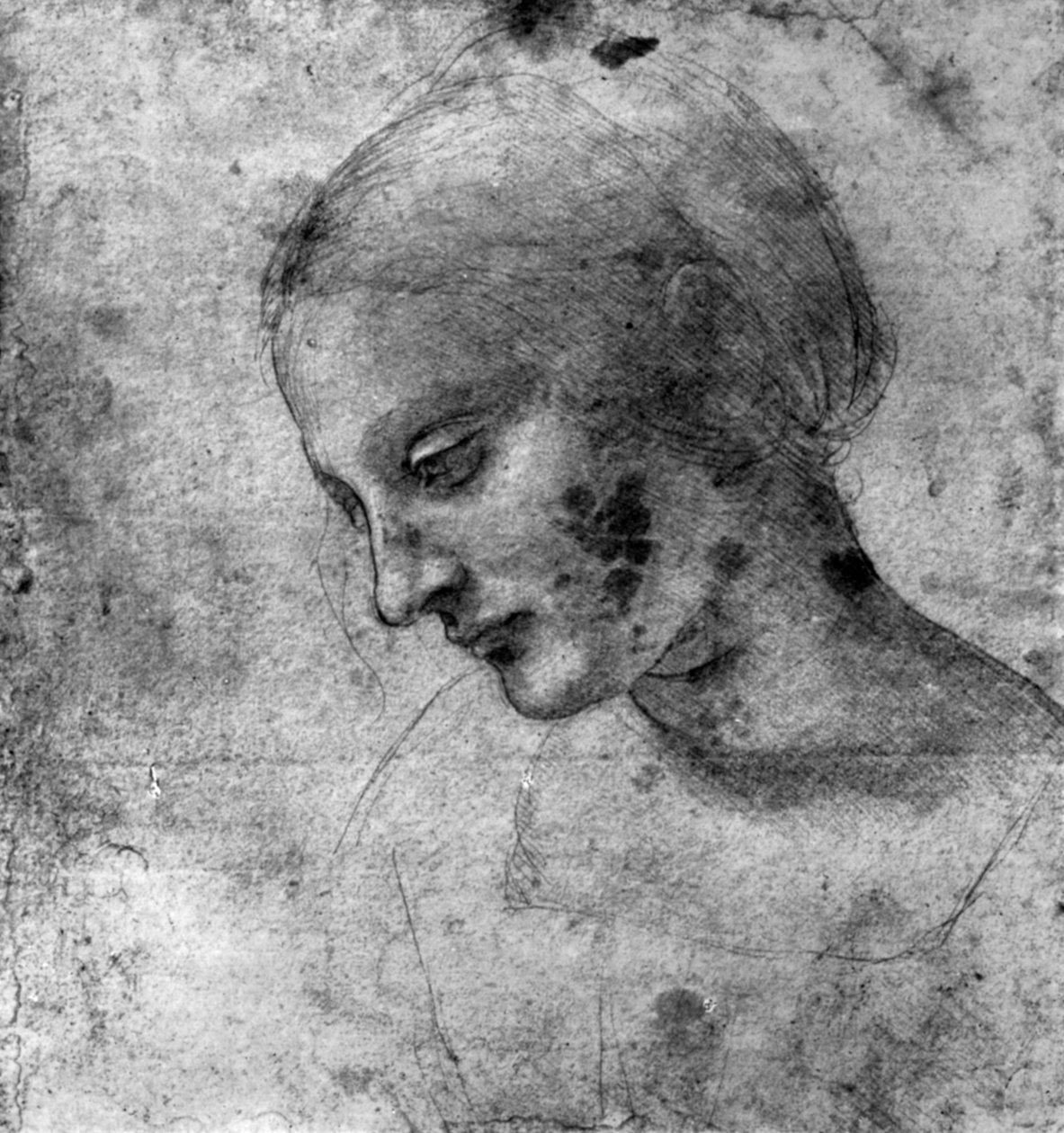 1930年15世纪研究麦当娜头像。 作者 达芬奇（Leonardo da Vinci）