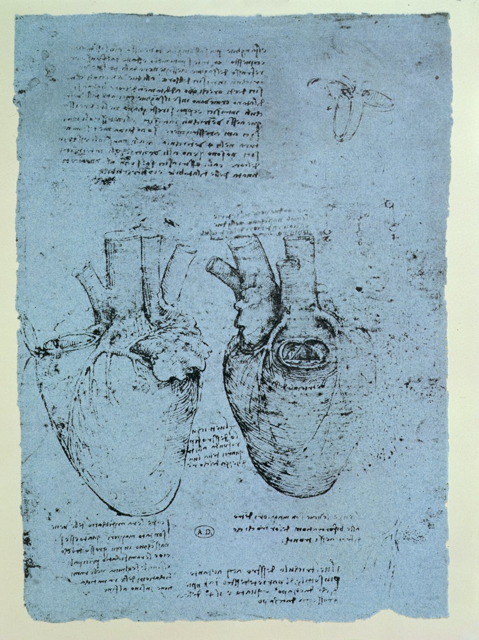 心灵，温莎书的传真（笔和纸上的墨水） 作者 达芬奇（Leonardo da Vinci）