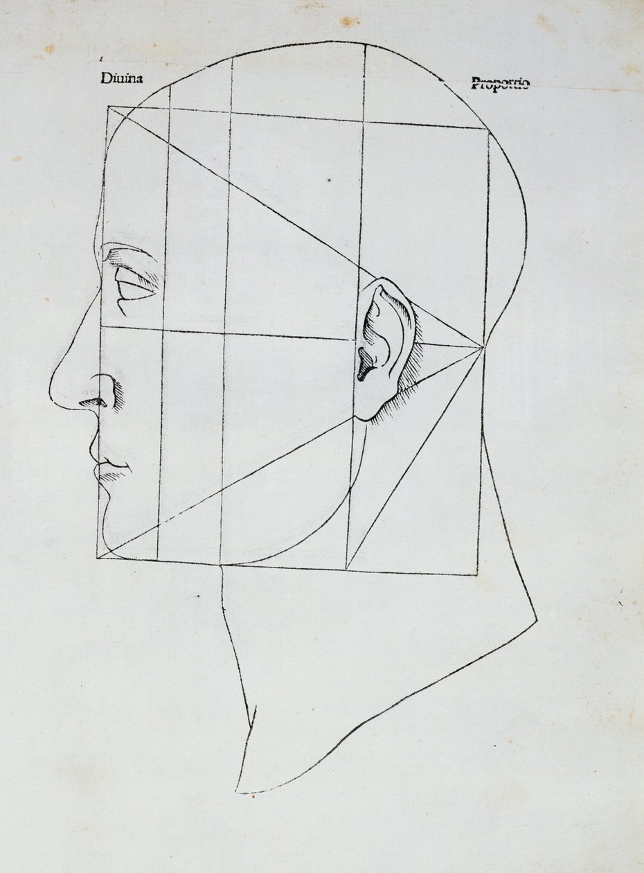 人头，Luca Pacioli（1445-1517）的“Divina Proportione”插图，1509 作者 达芬奇（Leonardo da Vinci）
