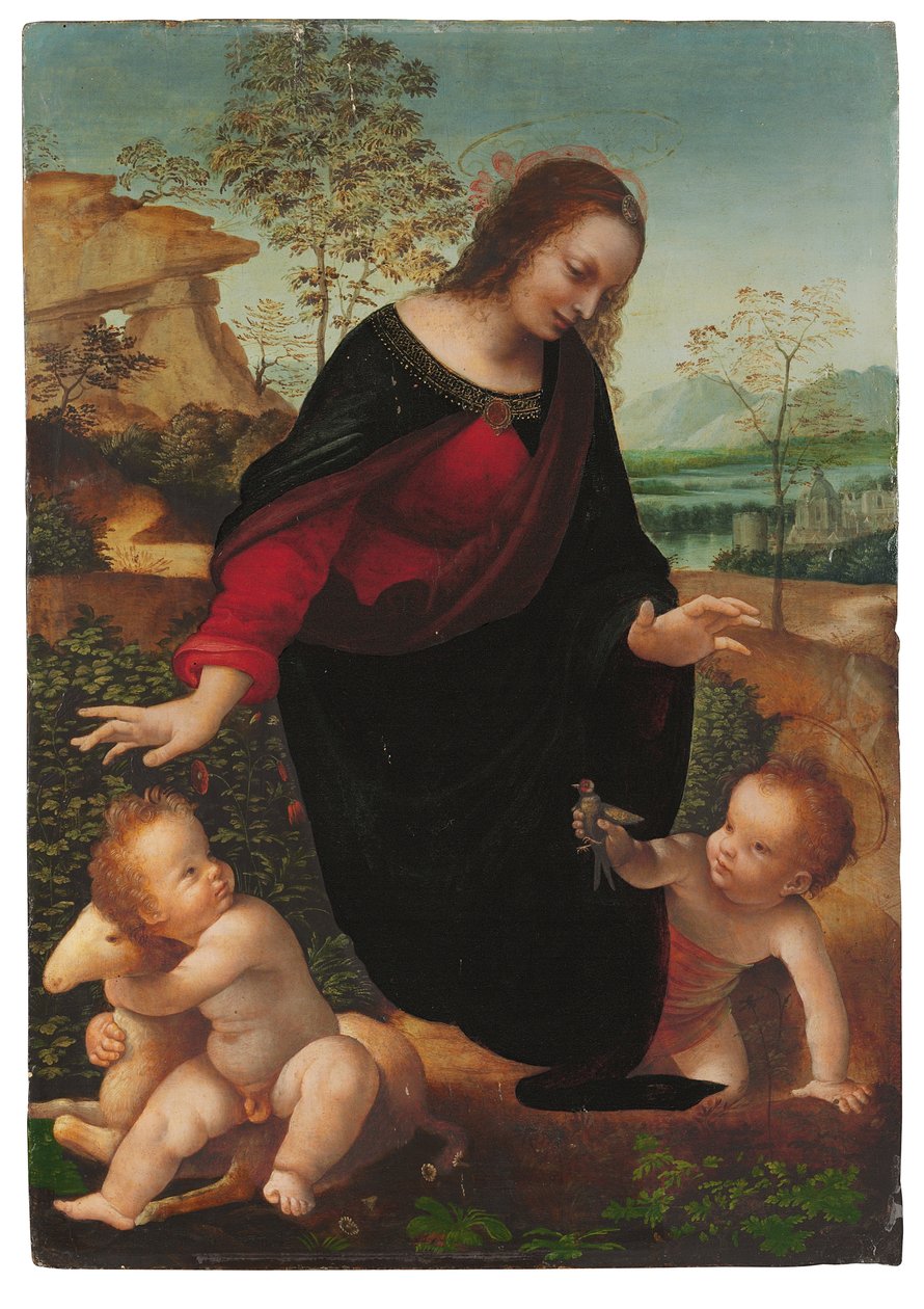 圣母子与婴儿浸信会圣约翰 作者 达芬奇（Leonardo da Vinci）