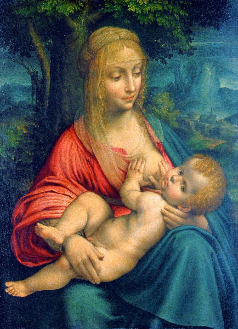 处女和孩子，c1511 作者 达芬奇（Leonardo da Vinci）