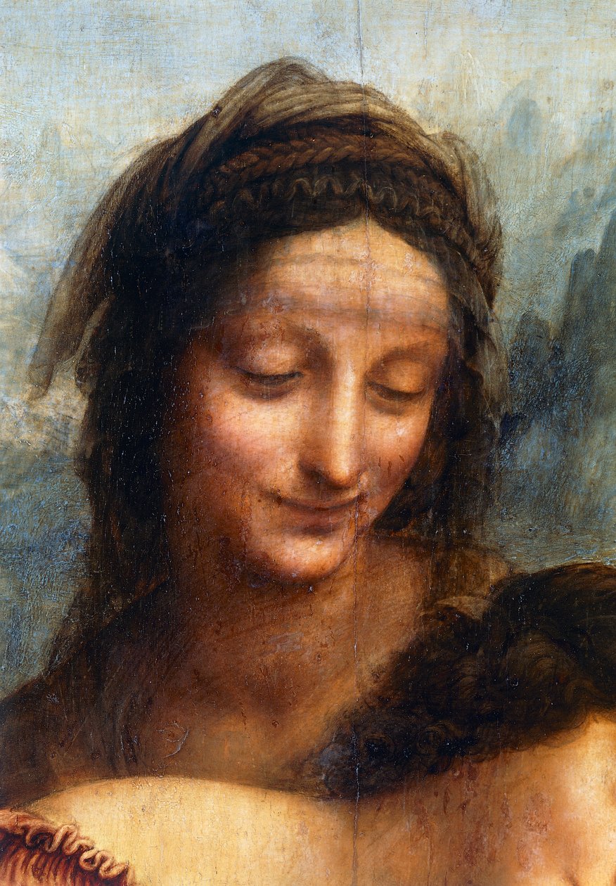 圣安妮的脸，《圣母子与圣安妮》的细节 作者 达芬奇（Leonardo da Vinci）
