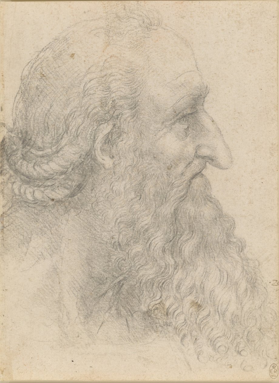老人胡须的头部，约1517年。 作者 达芬奇（Leonardo da Vinci）