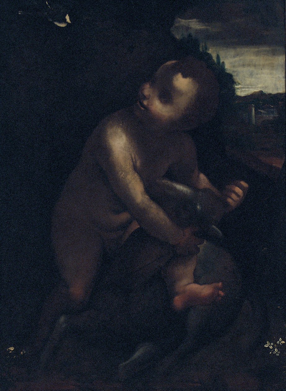 婴儿浸礼会圣约翰 作者 达芬奇（Leonardo da Vinci）