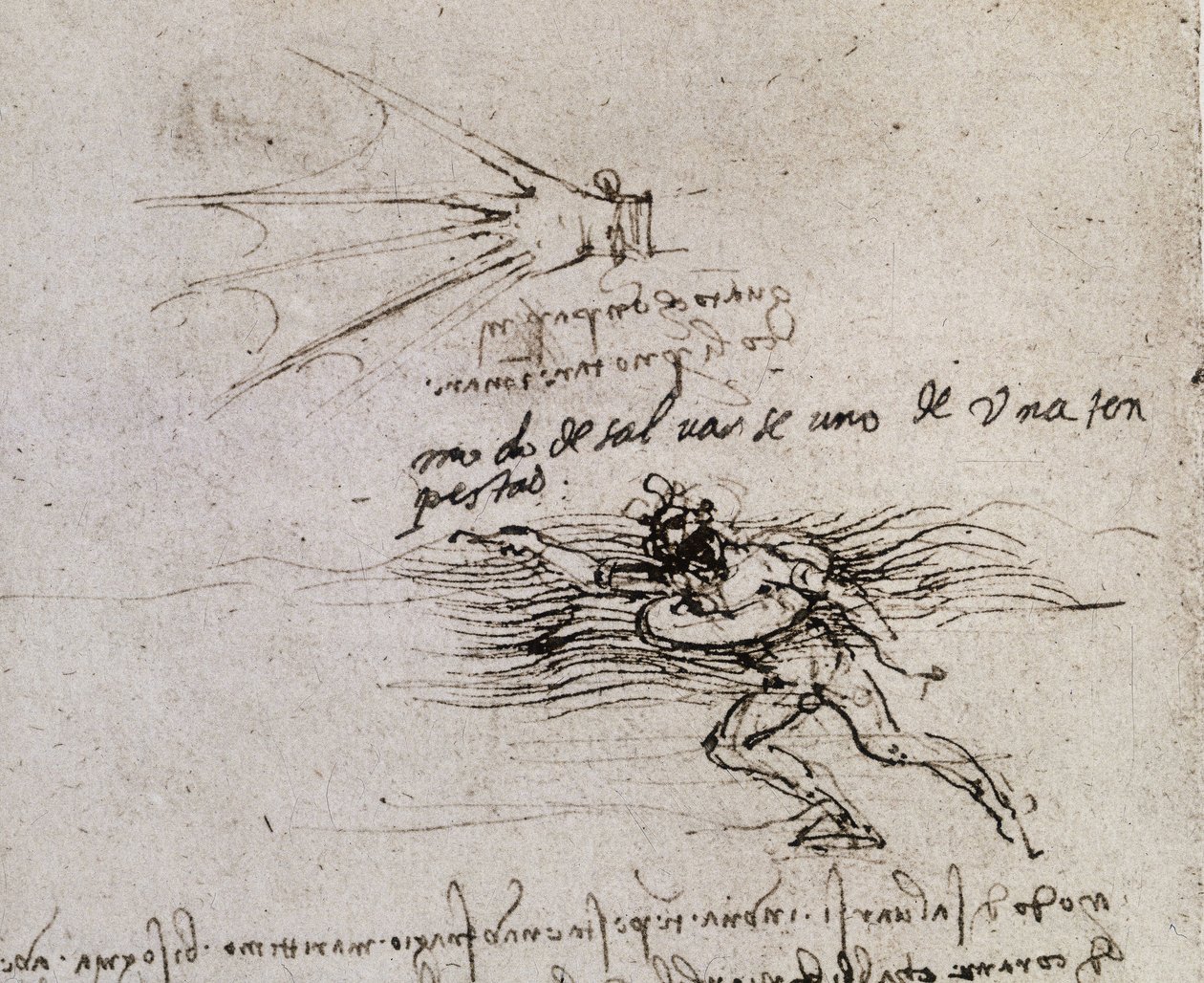 棕榈和浮标，大西洋抄本 作者 达芬奇（Leonardo da Vinci）