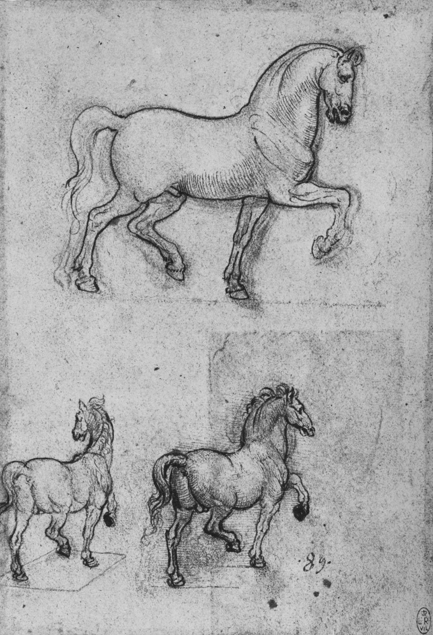 马三研究，c1480 1945年 作者 达芬奇（Leonardo da Vinci）